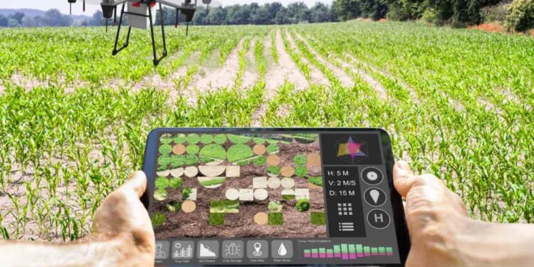 Artificial Intelligence (AI) in Crop Monitoring